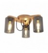 PLAFONIERA din lemn SIENA SMOKE  3X E27 NATUR EX-00402